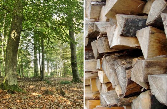 Croissance historique et encourageante de la consommation de granulé de bois  en France – Chauffage bois aujourd'hui : Magazine professionnel du chauffage  domestique au bois